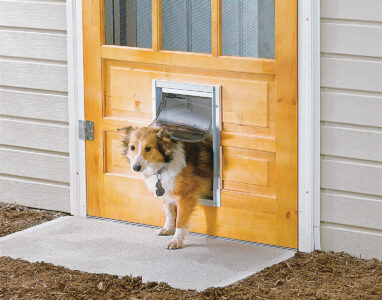 How to Install a Pet Door Image